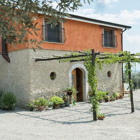 B&B Rifugio Tra Gli Ulivi Кампания Екстериор снимка