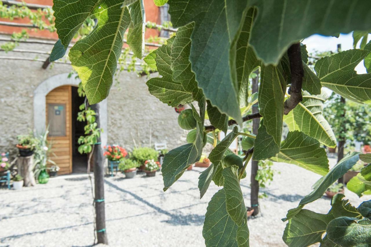 B&B Rifugio Tra Gli Ulivi Кампания Екстериор снимка