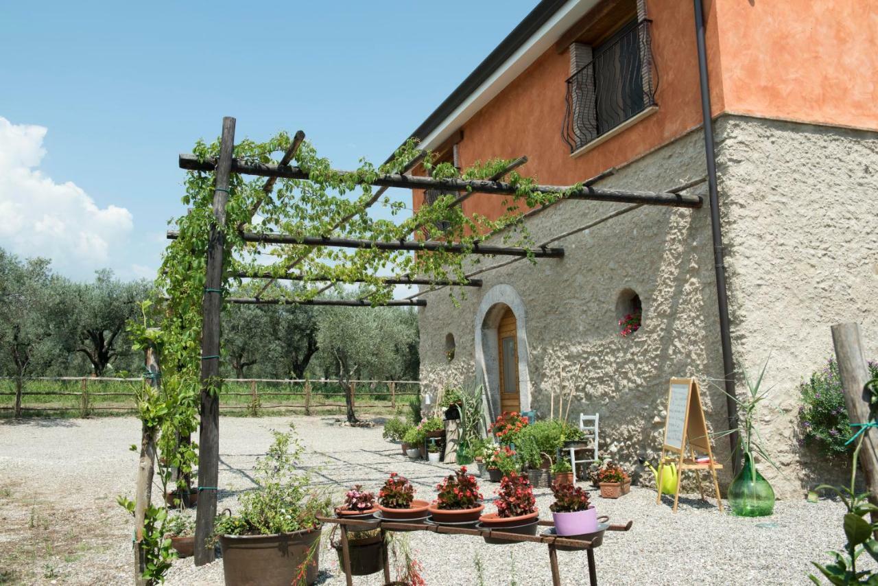 B&B Rifugio Tra Gli Ulivi Кампания Екстериор снимка