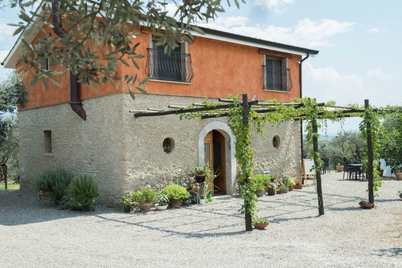 B&B Rifugio Tra Gli Ulivi Кампания Екстериор снимка