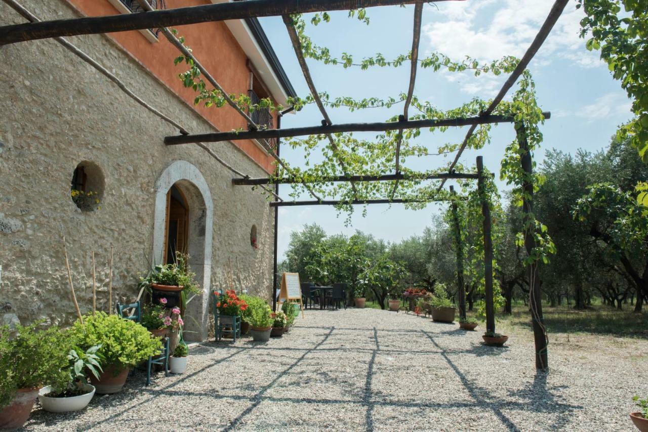 B&B Rifugio Tra Gli Ulivi Кампания Екстериор снимка