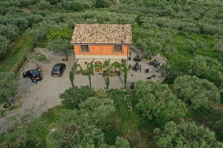 B&B Rifugio Tra Gli Ulivi Кампания Екстериор снимка